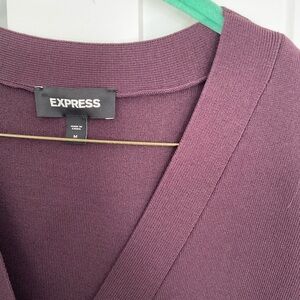 Express Deep Purple Knit Top